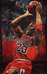 holland michael jordan bulls