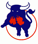 bulls