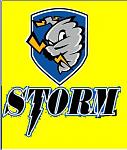 Stormlogo