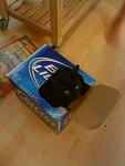 Summer 2010 003