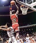 michael jordan chicago bulls...