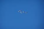 Blue Angels