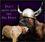 BigDogs