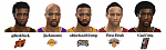 VBA Team Captains Banner