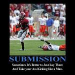 funny steelers pictures