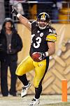troy polamalu afc champs