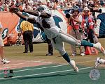 Spectacular catch