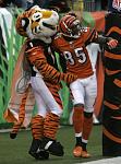 Chad Johnson mascot